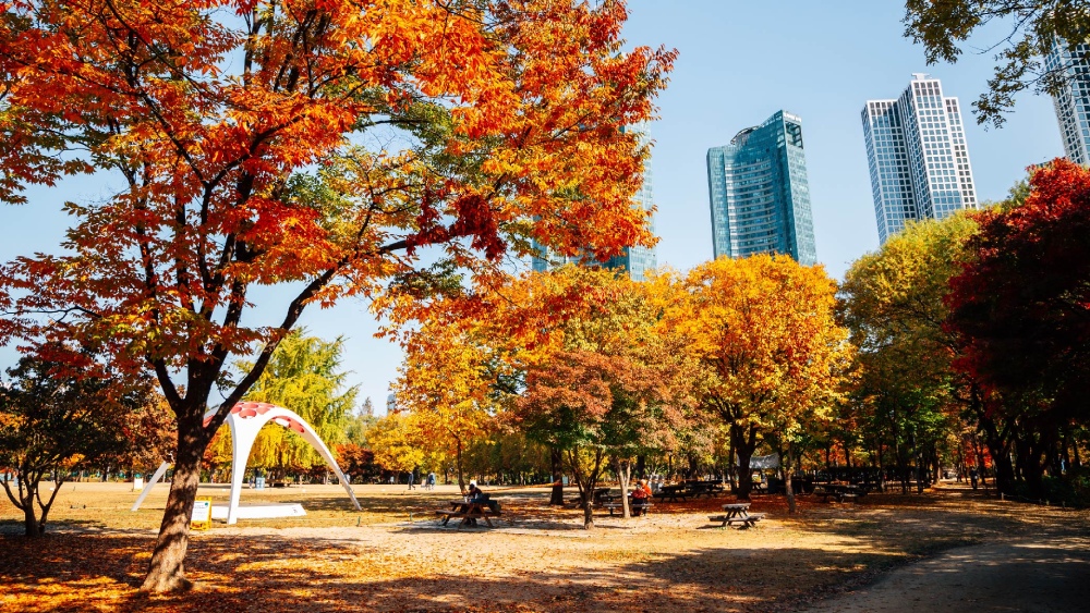 Seoul Forest