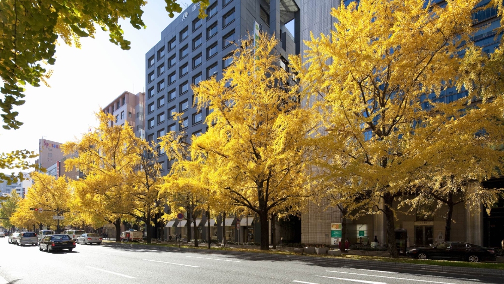 Midosuji Street