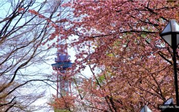 Blog_Banner-Odori Park