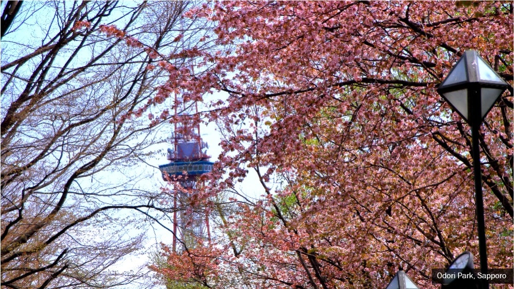 Blog_Banner-Odori Park