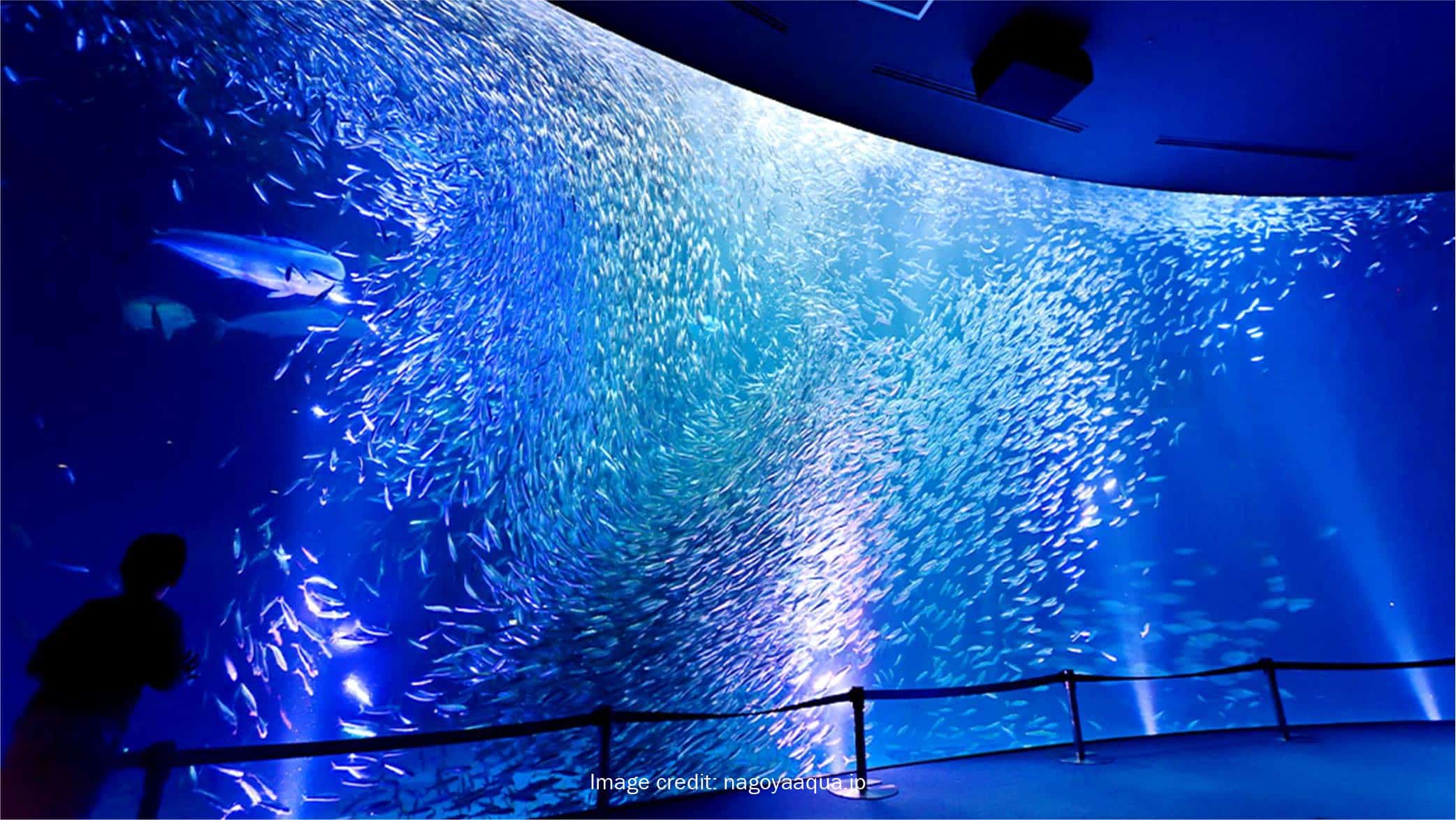 Travelodge Hotels - 10-Day Family Itinerary in Japan - Port Of Nagoya Public Aquarium