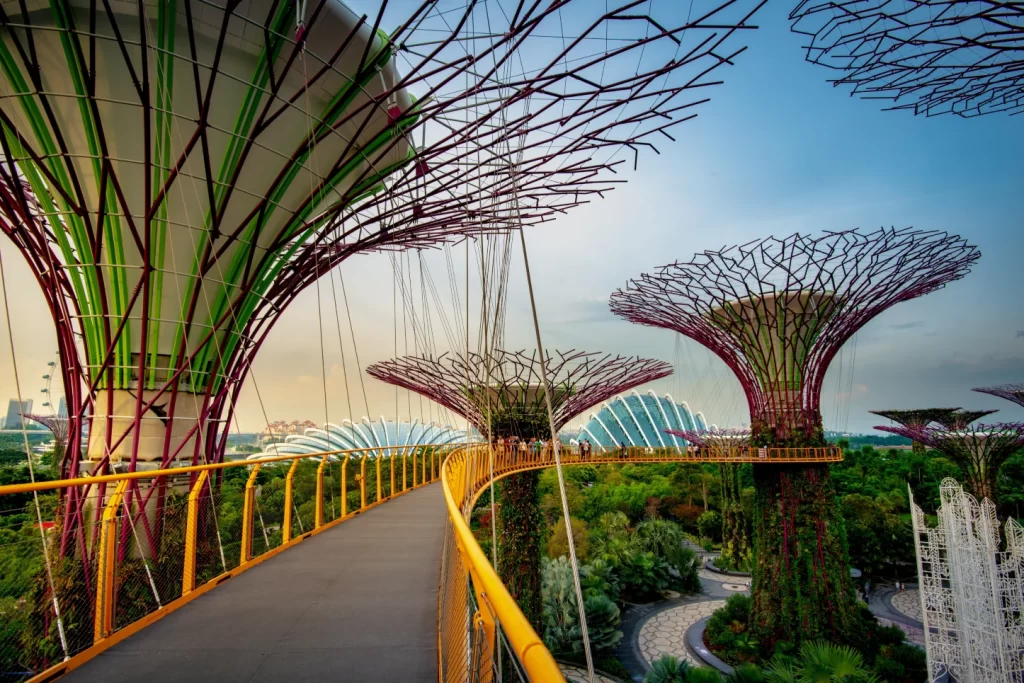 A tourist point-of-view of the elevated walkway among the towering Supertree structures at Gardens by the Bay in Singapore