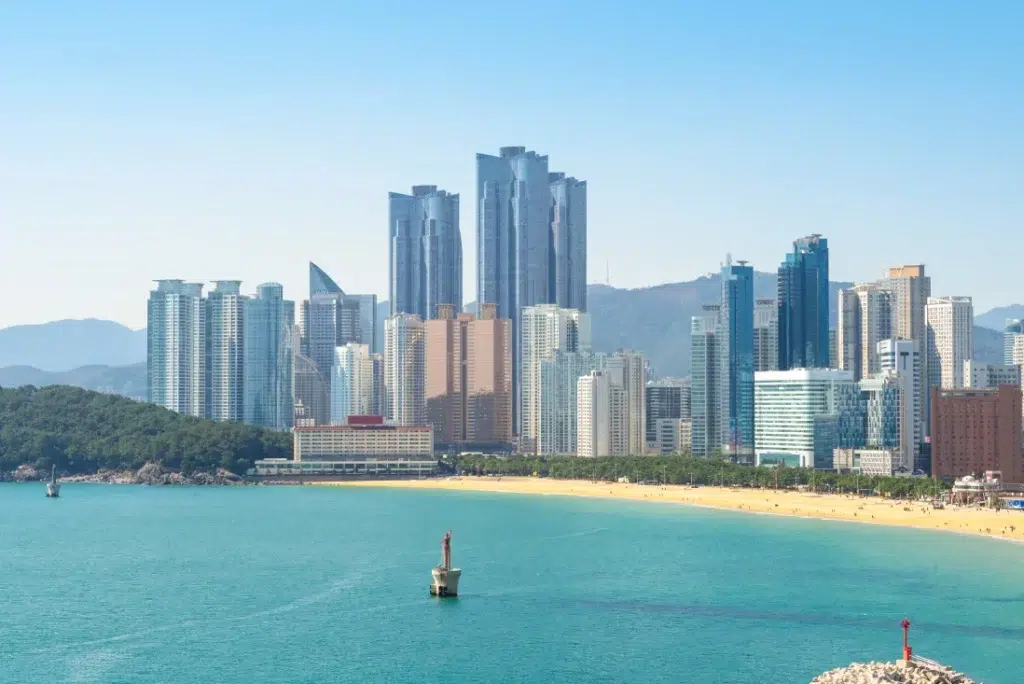 A wide shot of Busan's coastal line with a towering urban backdrop behind